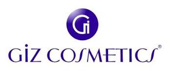Giz-logo